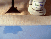 Carpet cleaning using less water than steam cleaning